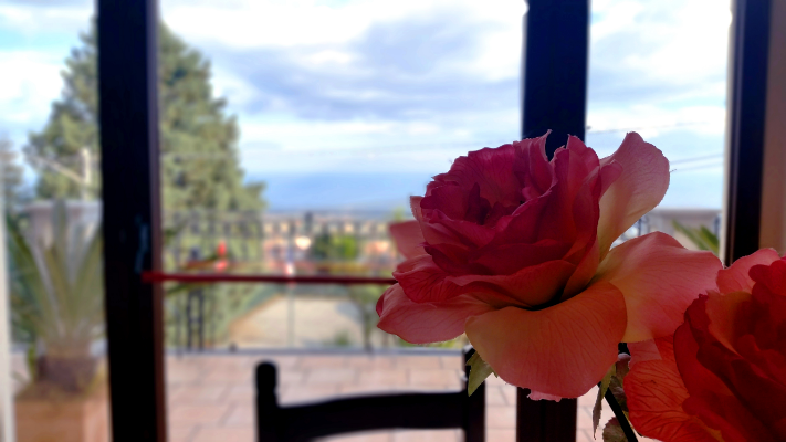 Hotel, Restaurant, Cafeteria über den Ätna | Hotel Primavera dell'Etna